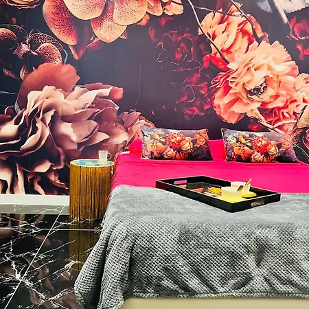 Luxury Kim Apartment, Ocean View & Wifi Free * 帕莱索海滩